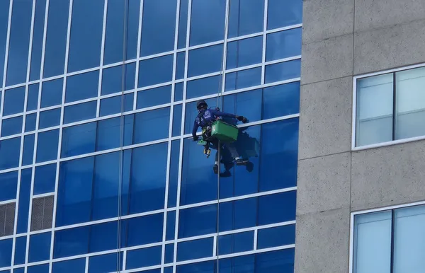 Rope-access technician cleaning windows on a glass commercial building